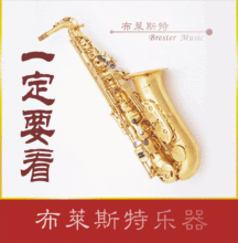 【布莱斯特乐器】萨克斯乐器降E668中音萨克斯/风/管 演奏视频