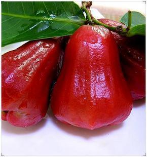 三亚/海南 新鲜水果 莲雾 肉甜 清凉解渴