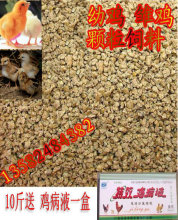 散装幼雏小鸡饲料小鸭饲料 鸟饲料 雏鸡幼雏饲料粮食颗粒  500克