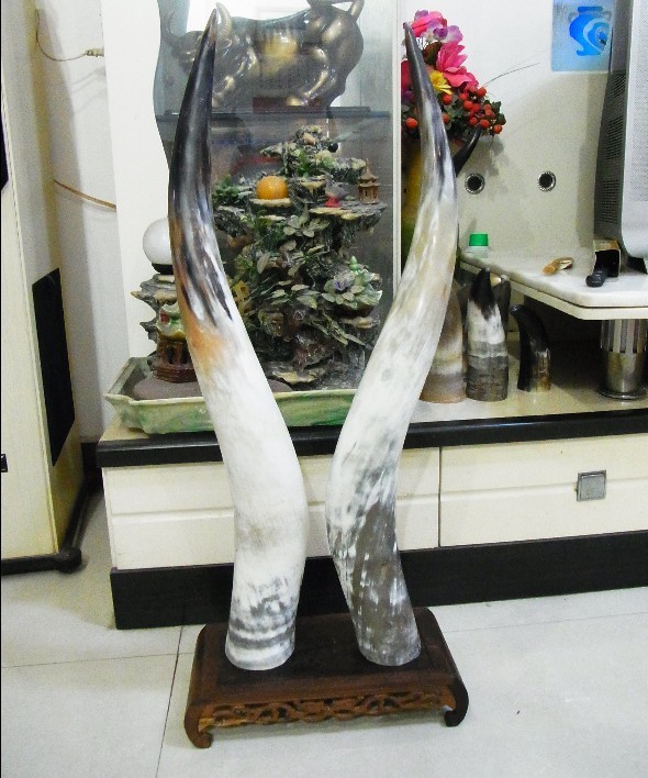 天然牦牛角对角 成一对牦牛角对角摆件 牛角家居摆件装饰品|ruв категории Ручная работа, национальных меньшинств, в особенности ремесла, Мамба семьи - от Buy2taobao.com для оказания профессиональной услуги покупки агента Taobao