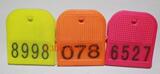 taobao english 15828576936