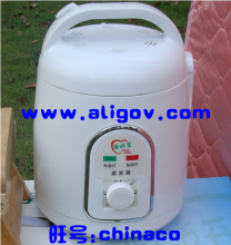 丽妍堂桑拿浴箱，排汗机的蒸汽锅，自动断电（不含任何配件）