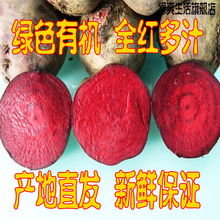 新鲜水果蔬菜 有机 甜菜根 红菜头 紫菜头(新鲜采摘-芯红汁多)