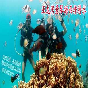 亚龙湾爱琴海东西排潜水 海南旅游 三亚景点门票 三亚亚龙湾潜水