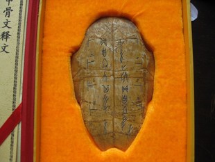 甲骨文的来历、甲骨文的来历和演变_淘宝助理