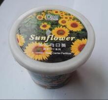 草娃娃 奇花异草★盆式精装系列(带杯托哦)★多花向日葵种子