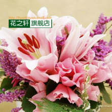 荷兰进口种球 香水百合球 百合种球 盆栽 百合花 多个品种可选择