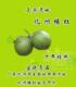 化州橘红切片试用1.90元1袋7克泡十次止咳之王