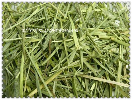 提摩西草段 提木西草段500g 袋装兔子龙猫天竺鼠干草|ruв категории животное/Животное питание и принадлежностей, зайцеобразные и принадлежностей, сено - от Buy2taobao.com для оказания профессиональной услуги покупки агента Taobao