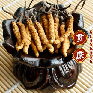  【贯康】冬虫夏草 精选级别 西藏那曲 虫草 5根/克