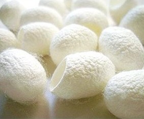 蚕茧 清洁毛孔去黑头死皮 8个装在类目 美容护肤/美体/精油, 洁面中 - 来自Buy2taobao.com提供专业的淘宝代购服务
