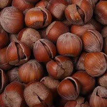 冲皇冠4件包邮 美国大榛子 开口大榛子 原味 250g