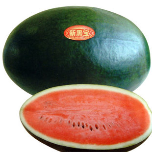 日本进口黑宝-红心黑皮西瓜种子-耐热糖度高(2