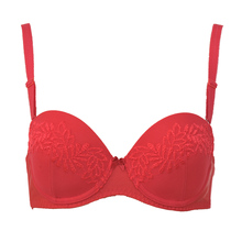 黛安芬水袋文胸_热销黛安芬水袋文胸_黛安芬水