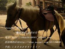 █●█好运马/迷你马//德保矮马▉●█支持支付宝