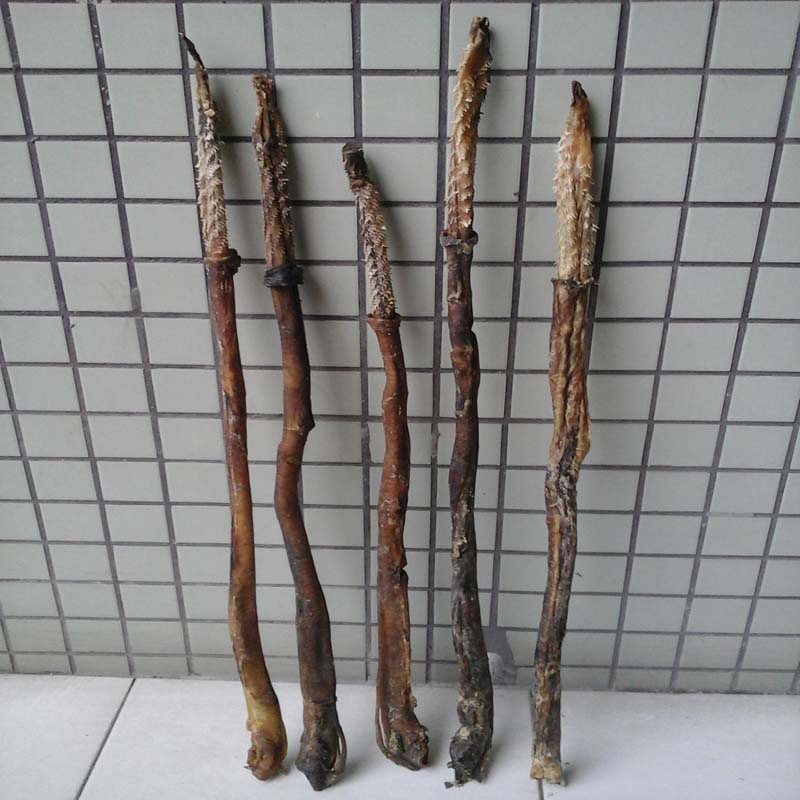 Tibet Yak whip dried food Yak whip wine Male health preservation Tonic Paojiu material 59 Yuan 1in the Traditional nourishing food , Other traditional tonic , Other traditional tonic category - from Buy2taobao.com to provide professional Taobao agent buy service