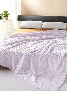 Basha dream home textile printing new 2012 super soft comfortable microfibre bobei 041212205