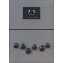 [商城正版]洪磊/洪磊