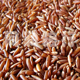  12年新红米 杂粮 粗粮 女性滋补佳品 稀有杂粮 红米 500g