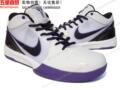 09新款 NIKE ZOOM 耐克男子篮球鞋 344336101