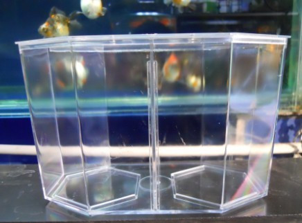 双格斗鱼盒\/斗鱼缸\/搏击打斗盒\/小鱼缸\/泰国斗鱼