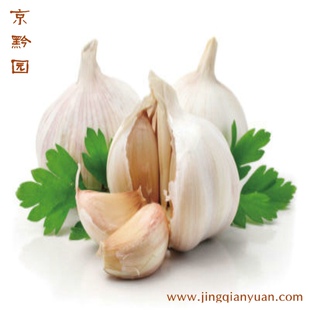  【京黔园】绿色食品优质蔬菜 大蒜 北京买菜当天送到家