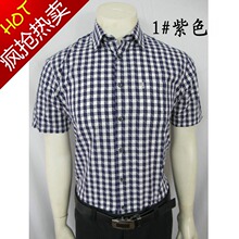 2012新款松鹰贵族专柜正品 男士时尚格子短袖衬衫衬衣B-12445