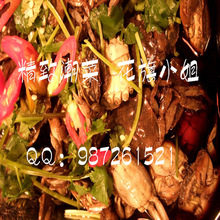 潮汕生腌小扁蟹 每天制作 即食 整只 捞干1斤 含汤1.5斤
