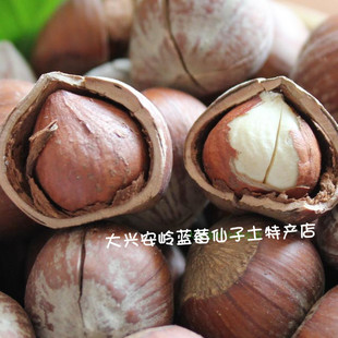  3斤包邮 今年新货大兴安岭东北 纯天然大榛子-包山采摘 250克坚果