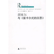 【满15元包邮】胡塞尔与《笛卡尔式的沉思》/(英)A.D.史密斯著