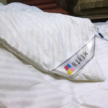 钱皇正品100%桑蚕丝被子 空调被 夏凉被 春秋被桐乡手工特价 包邮