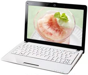 ASUS 华硕EeePC 1001HA 160G XP