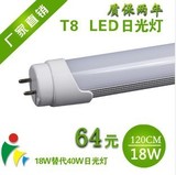 批发LED日光灯管18W/T8/1.2米/节能灯3528贴片/超高亮T8灯和