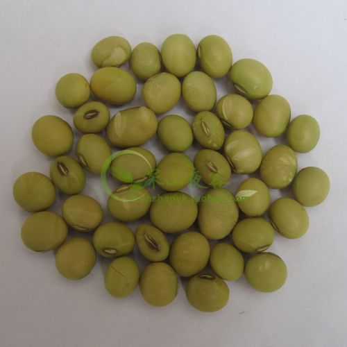 青皮黄豆 青豆 深山农家天然黄豆 发豆芽用 营养美味杂粮在类目 粮油米面/南北干货/调味品, 米/面粉/杂粮, 豆类, 黄豆中 - 来自Buy2taobao.com提供专业的淘宝代购服务