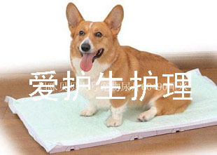 加厚60X90大號壹次性狗尿片尿墊寵物尿墊尿片尿布超吸水除臭10片在類目 寵物/寵物食品及用品, 貓/狗美容清潔用品, 尿片/尿墊/護墊中 - 來自Buy2taobao.com提供專業的淘寶代購服務