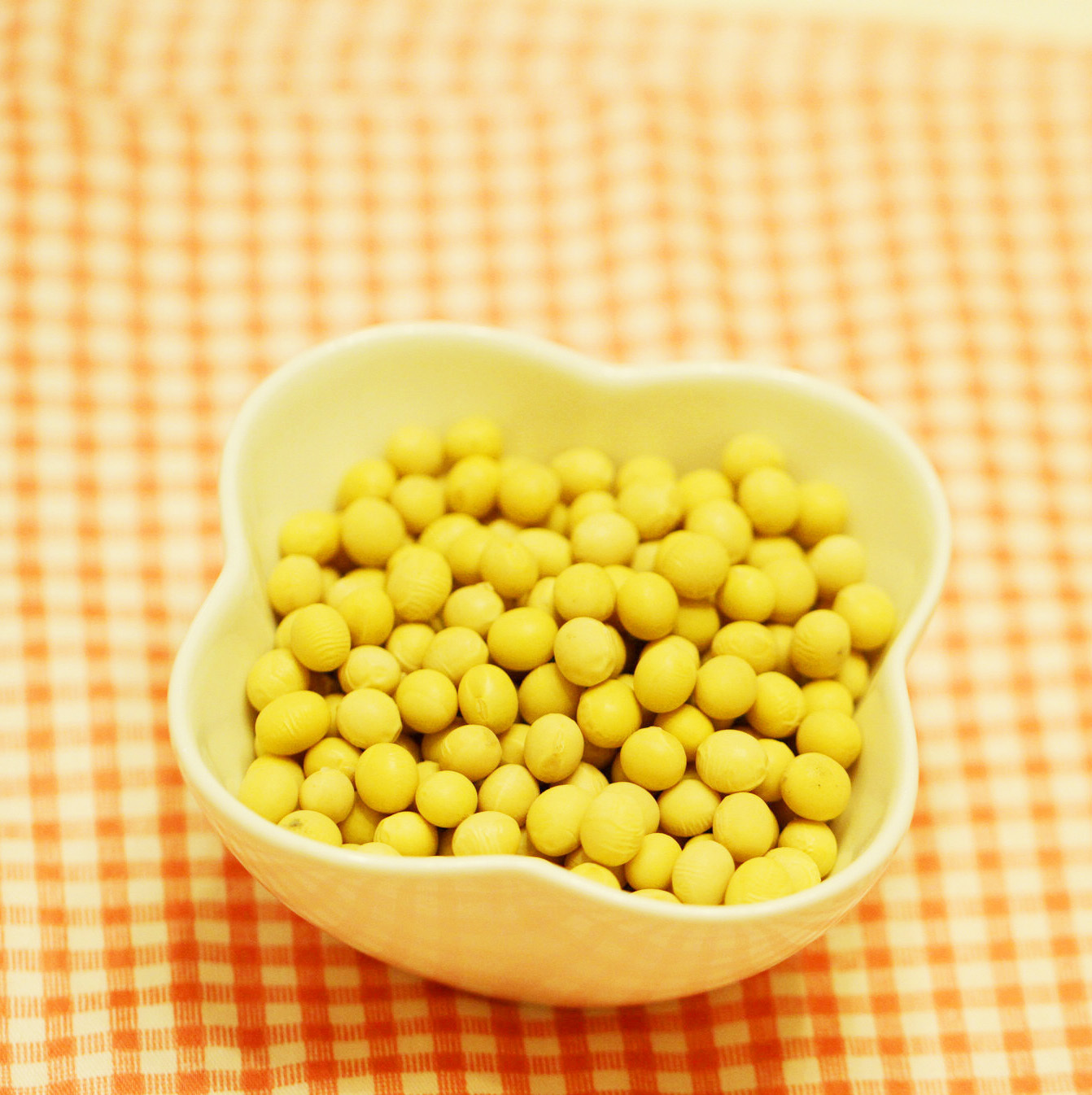當年新黃豆純正東北黃豆大豆農家土黃豆發豆芽打豆漿專用在類目 糧油米麪/南北乾貨/調味品, 米/麪粉/雜糧, 豆類, 黃豆中 - 來自Buy2taobao.com提供專業的淘寶代購服務