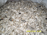 taobao english 1909703617