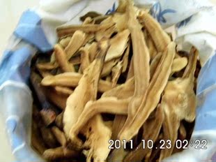  大兴安岭灵芝片