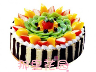  郑州蛋糕同城速递/郑州蛋糕店/欧式水果蛋糕 生日蛋糕 绿野仙踪