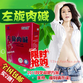 强效型左旋肉碱减肥药胶囊正品 男女健康瘦身顽固性减淝中药产品