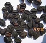 taobao english 3622773217