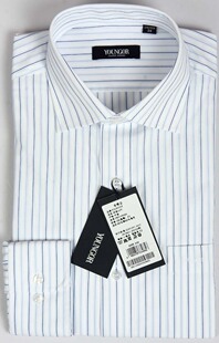  【皇冠店】YOUNGOR雅戈尔正品男装长袖衬衫高档免烫 V6494