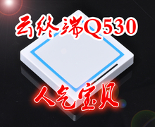 NetstationQ530 USB云终端 电脑拖机卡 支持宽屏 32色 全屏电影