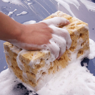 Car wash sponge Sponge coral Large Sponge brush car Concentrated foam The car paint Wash toolsin the Car/Articles/Fitting/Refit , Car cleaning supplies/Cleaning Tools , Car wash sponge/Wash mud category - from Buy2taobao.com to provide professional Taobao agent buy service