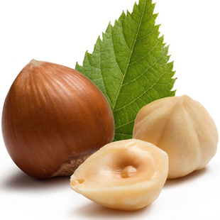  促销 坚果零食 开口榛子250g 榛子东北 铁岭榛子 榛子仁 野生特产