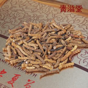  【贵滋堂】 西藏那曲新草冬虫夏草优质统货断草肉节大条