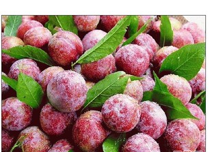 新鲜水果李子 三华李南华李 爽脆口感 酸酸甜甜 孕妇最爱 500克-淘宝网