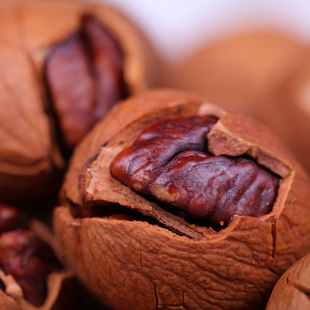  【沈家村】坚果新货 临安特产 方便手剥山核桃/小核桃158