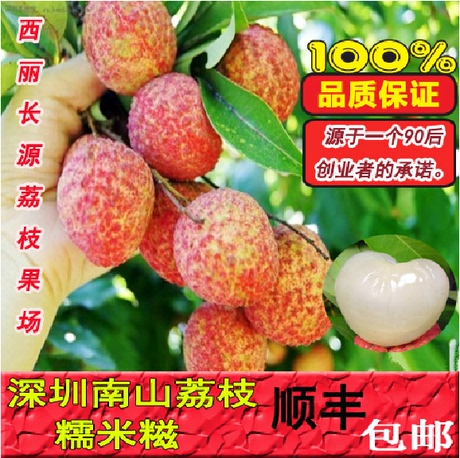 2014预售 深圳南山荔枝 糯米糍 新鲜水果荔枝小