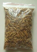 ������������� ����� 100G (16Ԫ2��) Ӫ�������ʡ��Ļʹ�